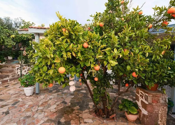 Herakles فندق مبيت وإفطار Çeşme